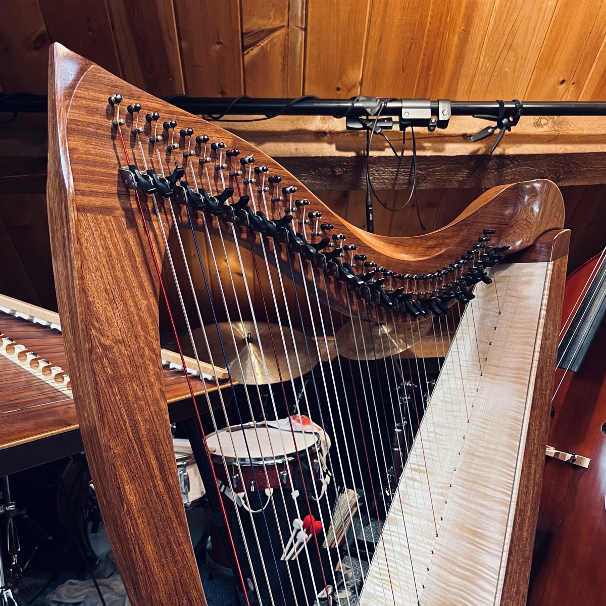 Celtic Harp
